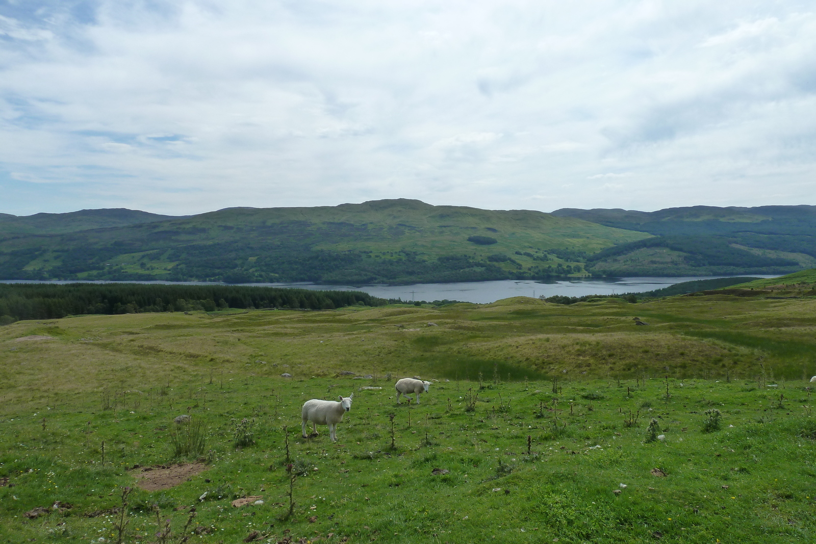 รูปถ่าย อังกฤษ(United Kingdom) ทรอสซักส์(The Trossachs) 2011-07 76