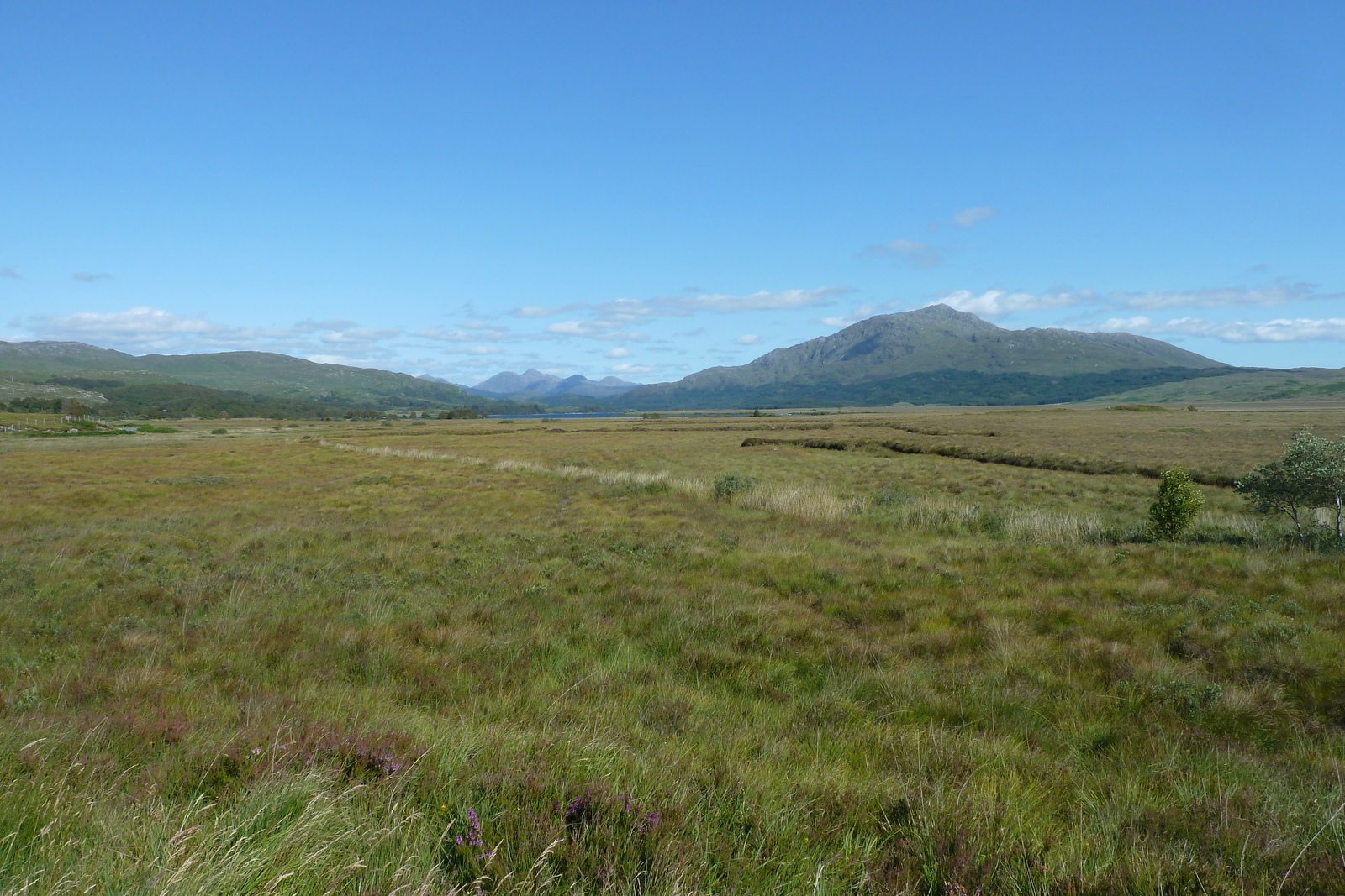 รูปถ่าย อังกฤษ(United Kingdom) สกอตแลนด์(Scotland) เซเลน(Salen) 2011-07 41