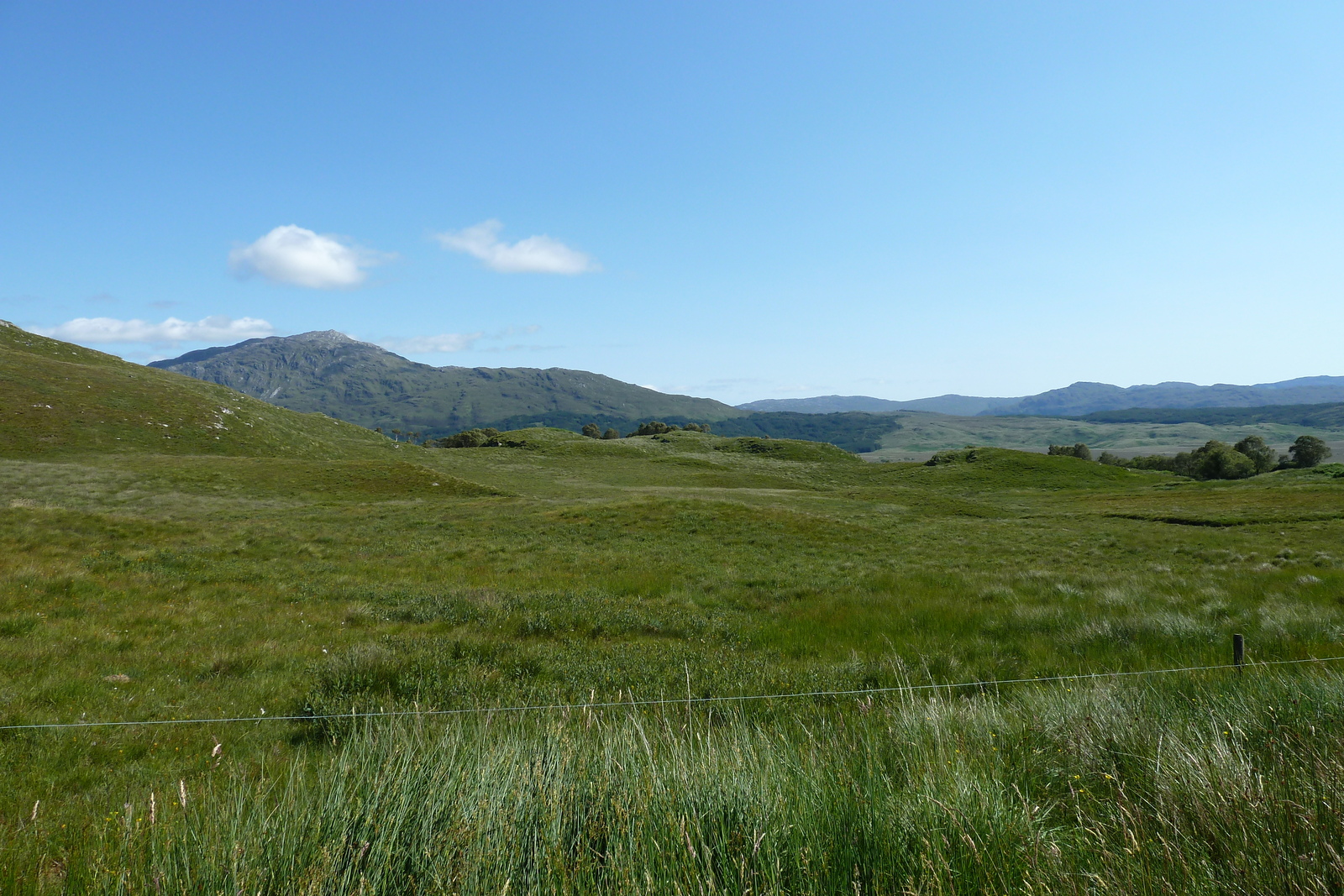 รูปถ่าย อังกฤษ(United Kingdom) สกอตแลนด์(Scotland) เซเลน(Salen) 2011-07 57