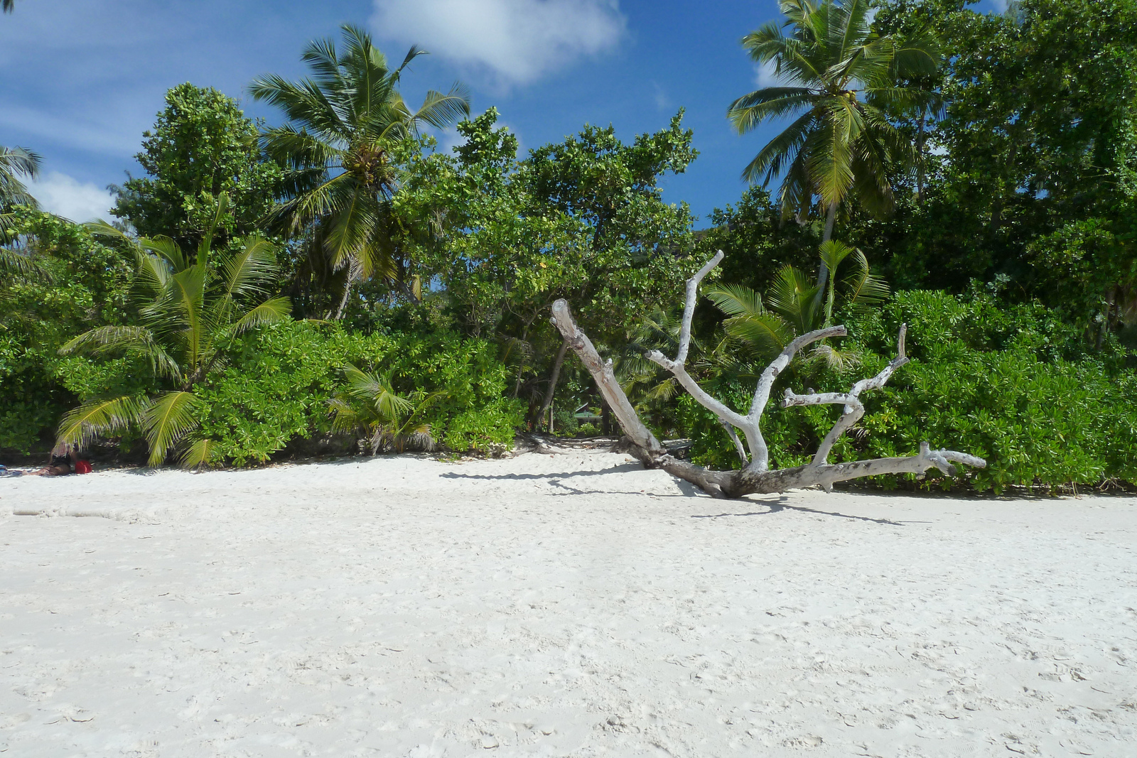 รูปถ่าย เซเชลส์(Seychelles) อ่าวอ็องส์ลาซิโอ(Anse Lazio) 2011-10 171
