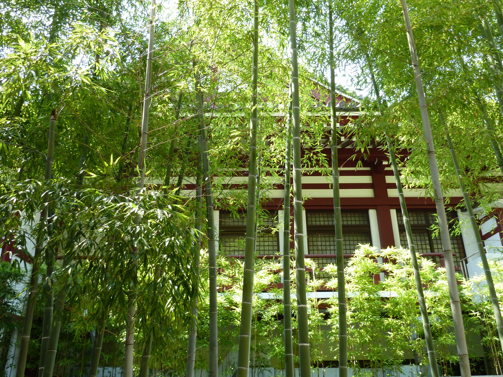 รูปถ่าย ญี่ปุ่น(Japan) โตเกียว(Tokyo) สวนชิบะ(Shiba Park) 2010-06 47