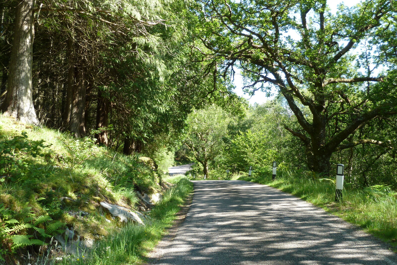 รูปถ่าย อังกฤษ(United Kingdom) สกอตแลนด์(Scotland) เซเลน(Salen) 2011-07 34