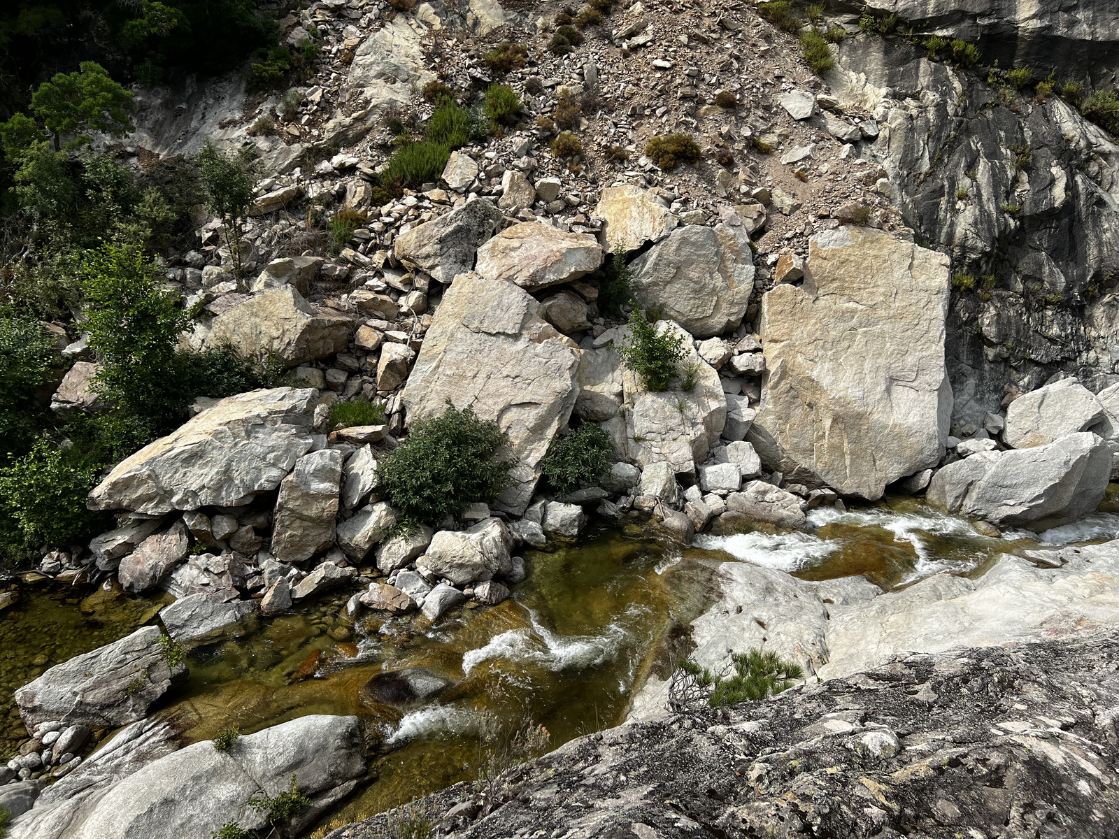 รูปถ่าย ฝรั่งเศส(France) คอร์สิคา(Corsica) คีซา(Chisa) 2022-08 37