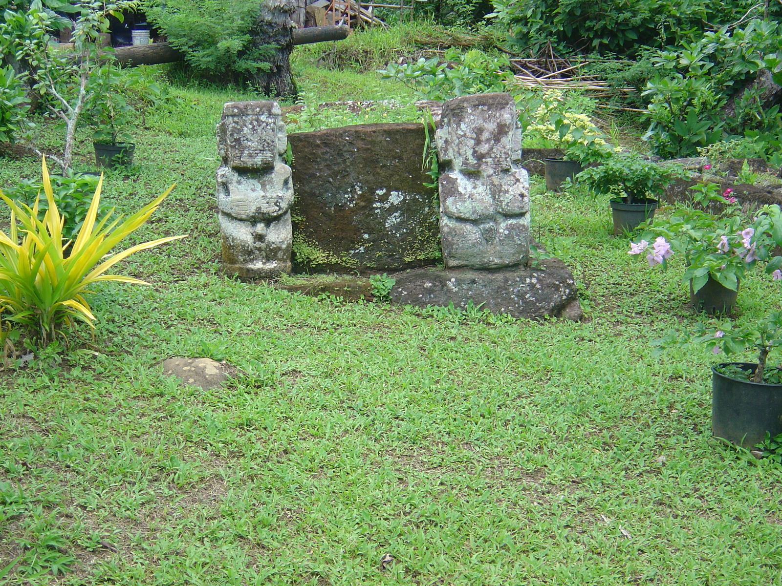 รูปถ่าย เฟรนช์โพลี่นีเซีย(Polynesia) หมู่เกาะมาร์เคซัส(Marquises) 2006-04 152