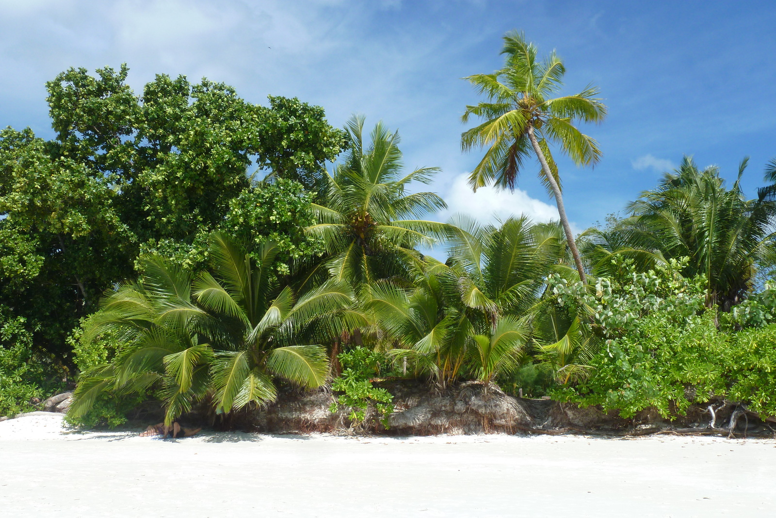 รูปถ่าย เซเชลส์(Seychelles) 2011-10 155