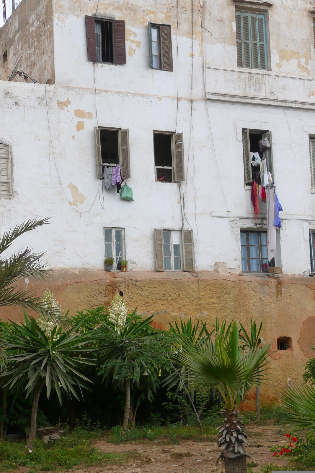 รูปถ่าย โมร็อกโก(Morocco) คาซาบลังกา(Casablanca) เมดินา(Medina) 2008-07 48