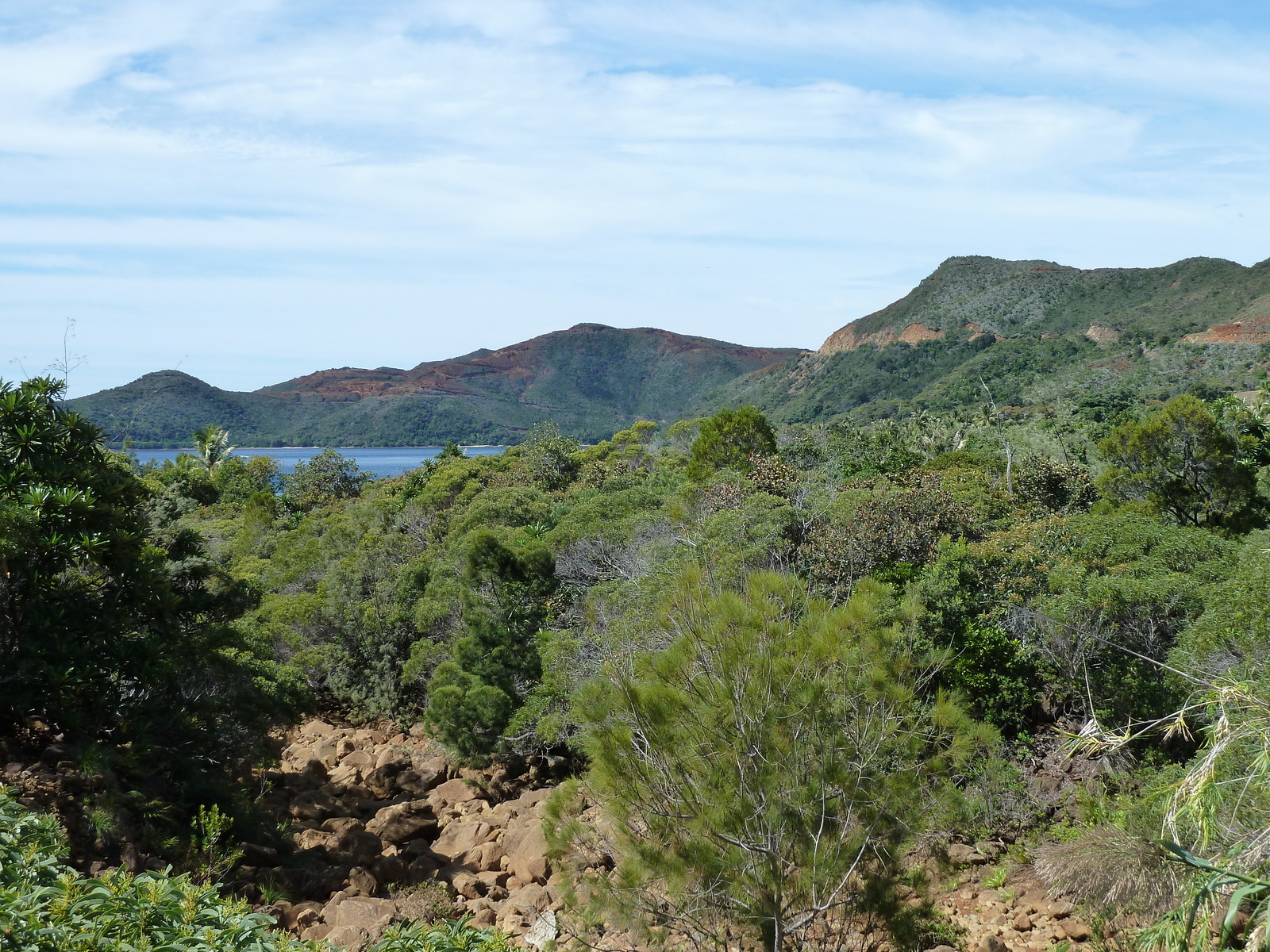รูปถ่าย นิวแคลิโดเนีย(New Caledonia) ทีโอ(Thio) 2010-05 24