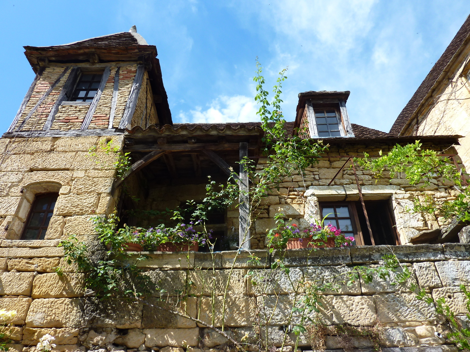 รูปถ่าย ฝรั่งเศส(France) ซาร์ลา-ลา-กาเนดา(Sarlat la Caneda) 2009-07 69
