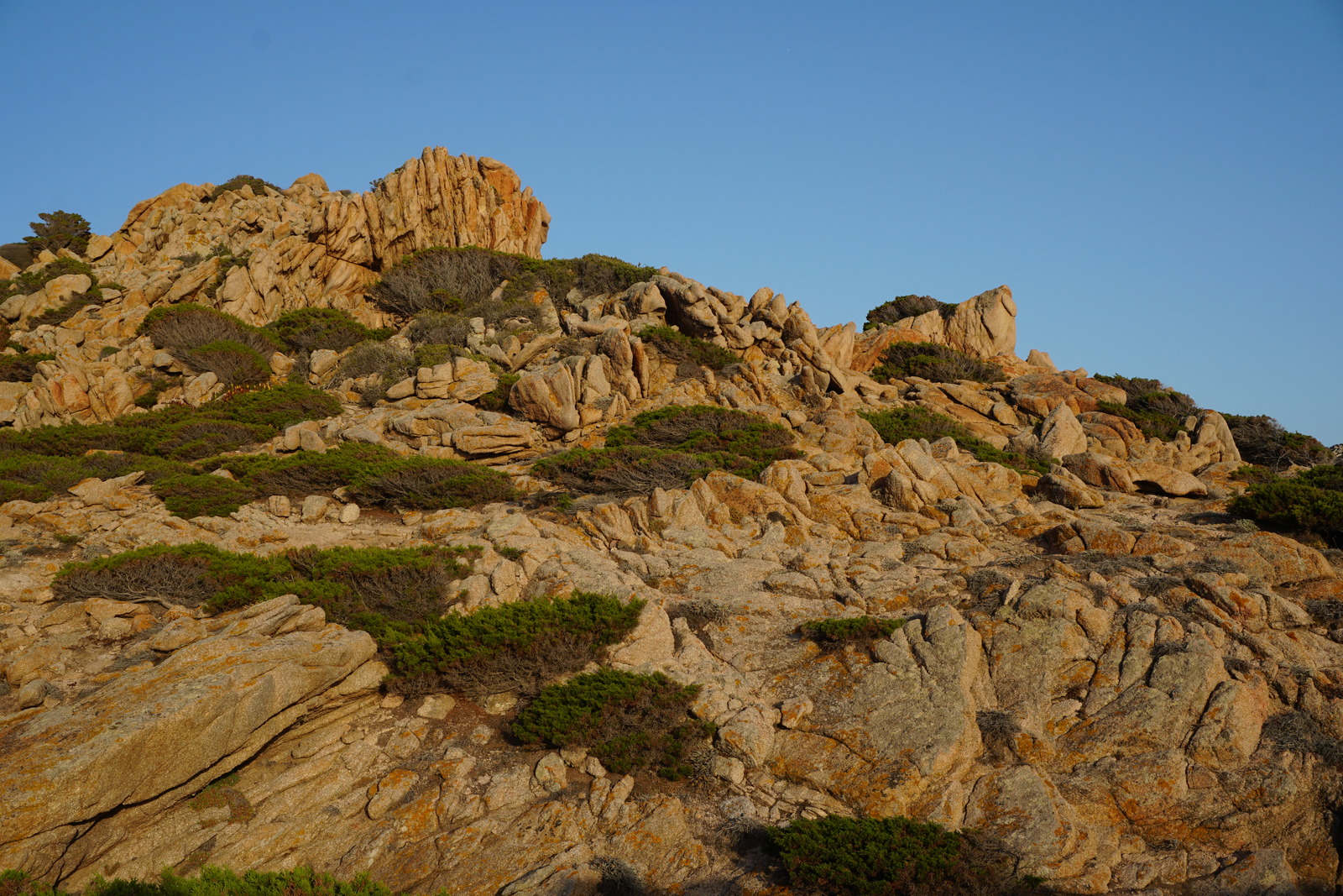 รูปถ่าย ฝรั่งเศส(France) คอร์สิคา(Corsica) หาดตอนนารา(Tonnara Beach) 2017-07 8