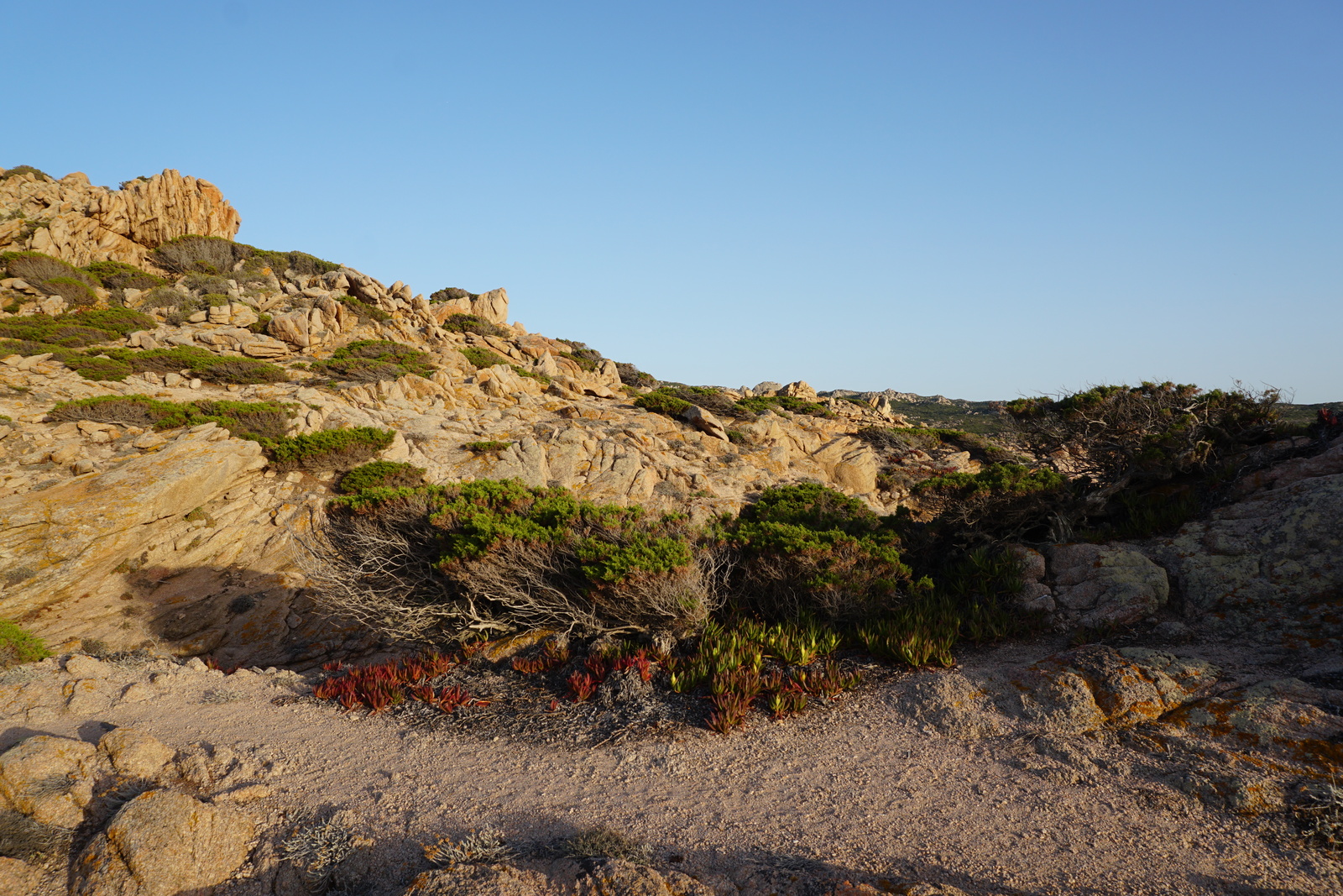 รูปถ่าย ฝรั่งเศส(France) คอร์สิคา(Corsica) หาดตอนนารา(Tonnara Beach) 2017-07 12