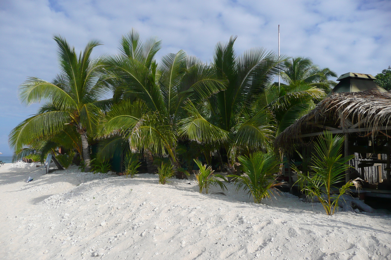 รูปถ่าย ฟิจิ(Fiji) เกาะบีชโคมเบอร์(Beachcomber Island) 2010-05 45