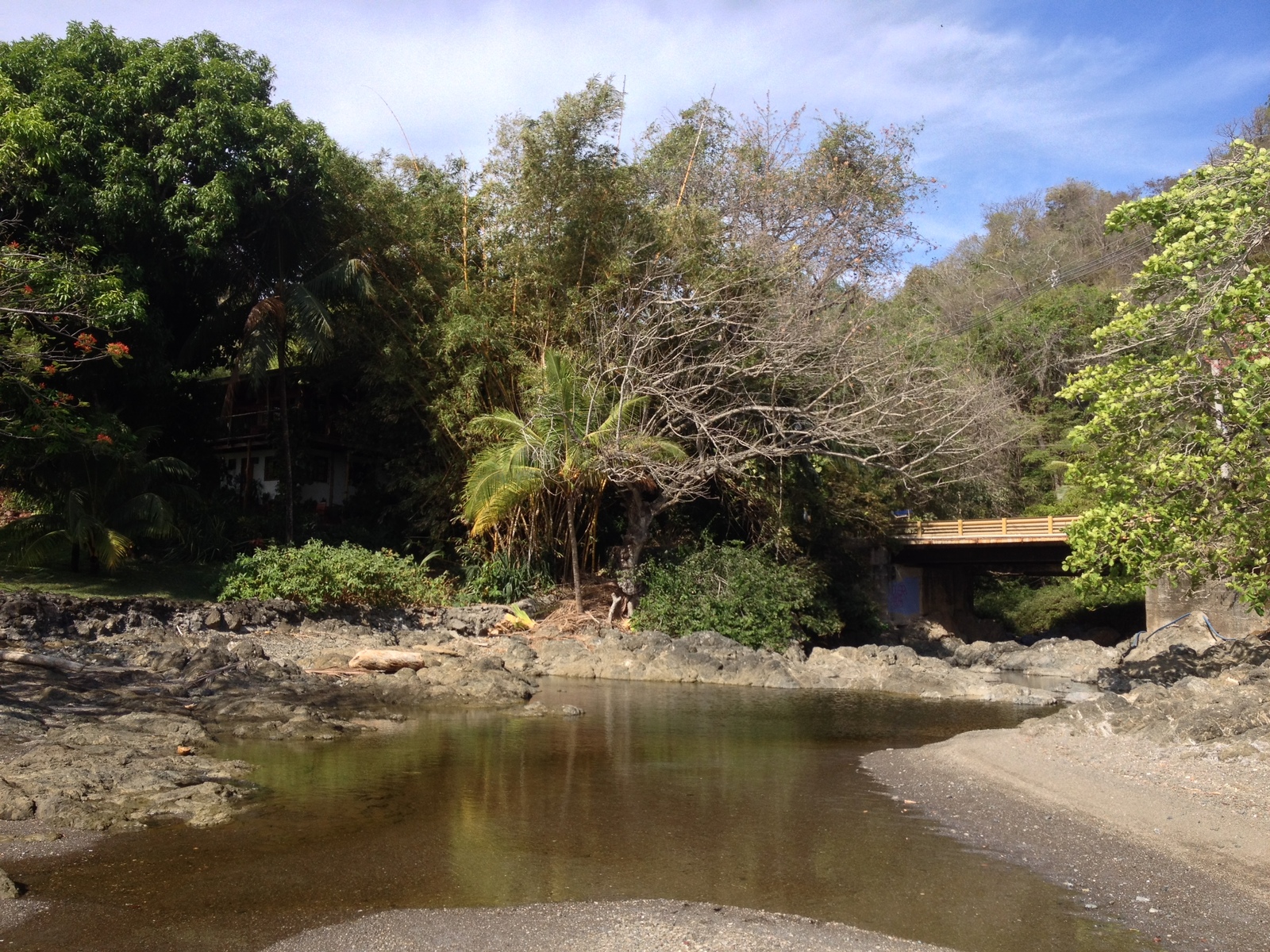 รูปถ่าย คอสตาริกา(Costa Rica) มอนเตซูมา(Montezuma) 2015-03 613