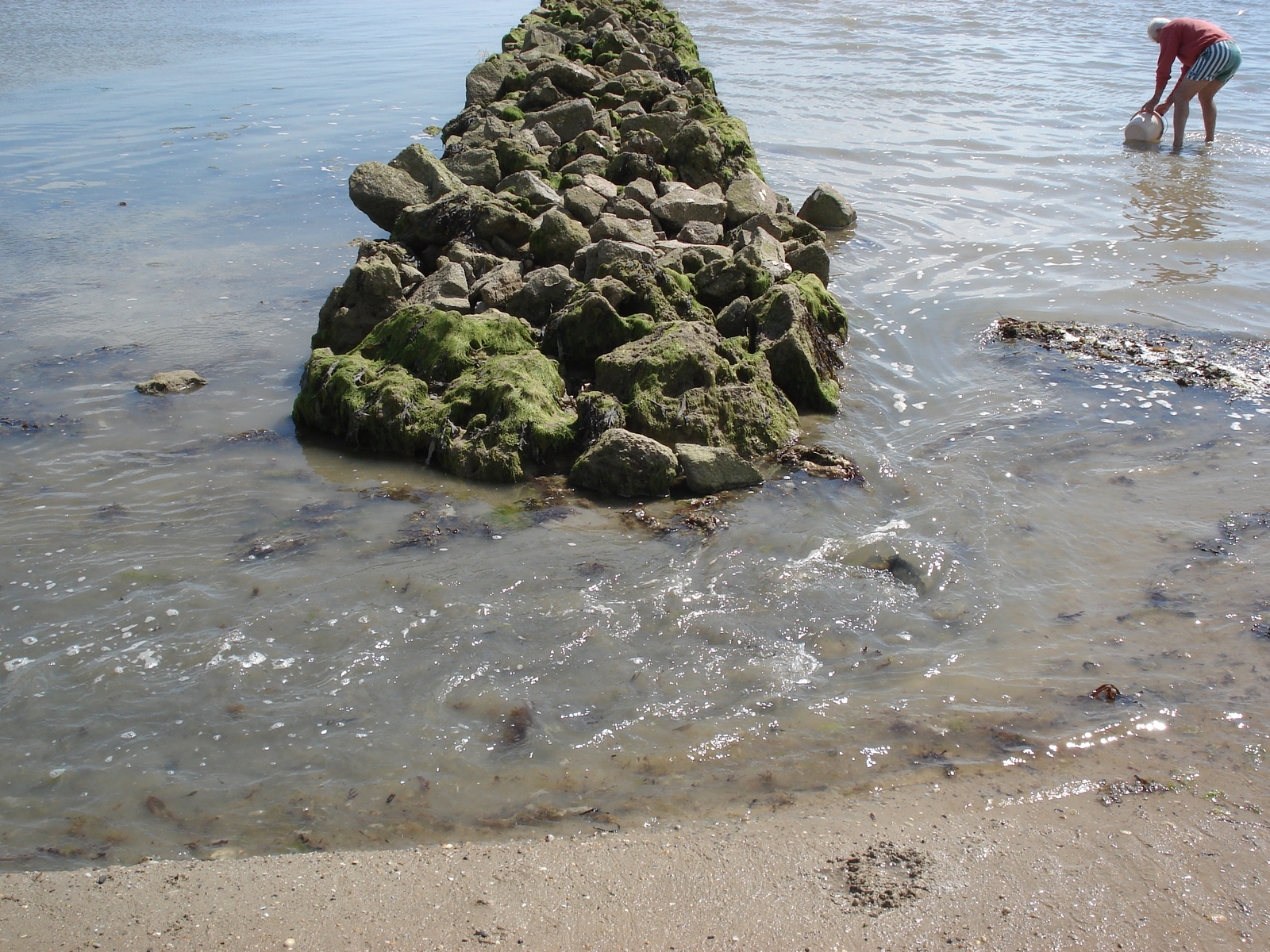 รูปถ่าย ฝรั่งเศส(France) นีวร์มูทีเย(Noirmoutier) 2006-08 116