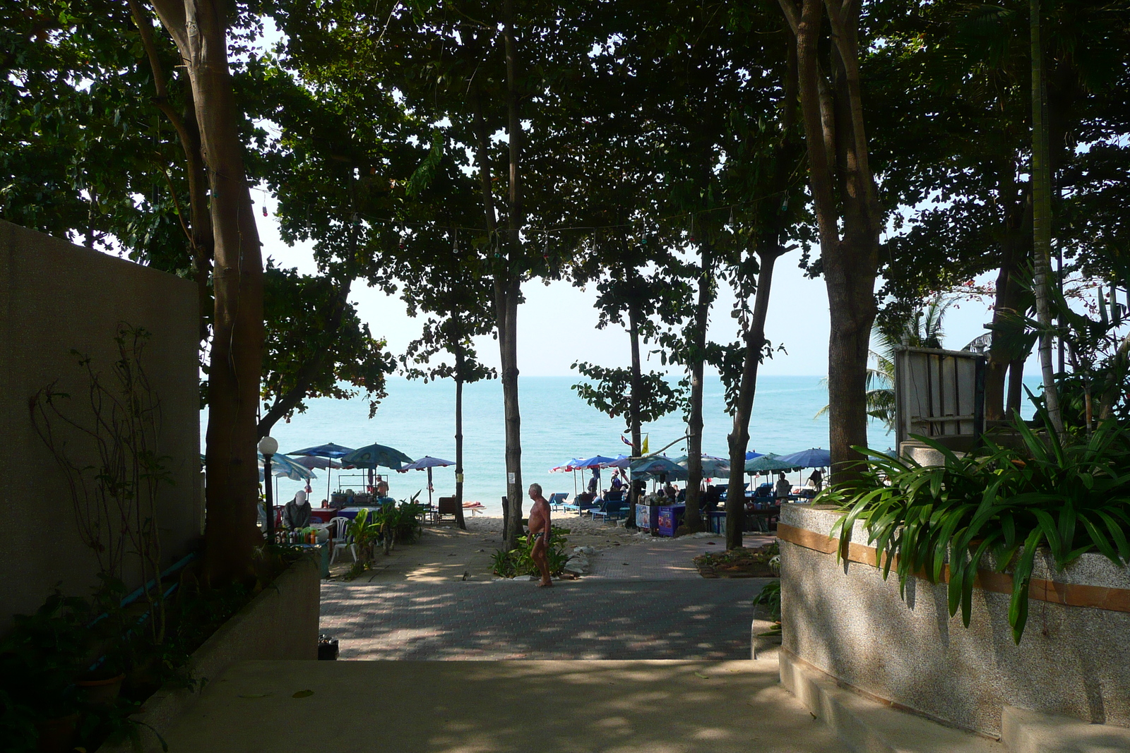 รูปถ่าย ไทย(Thailand) จอมเทียน(Jomtien) โกลเดนฮอร์น(Golden Horn) 2009-01 5