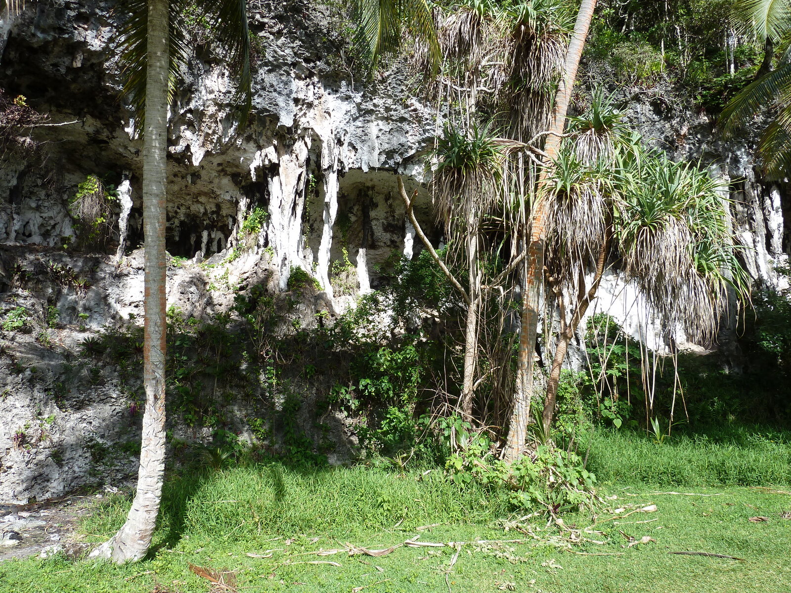 รูปถ่าย นิวแคลิโดเนีย(New Caledonia) เกาะลีฟู(Lifou) โยซิป(Josip) 2010-05 38