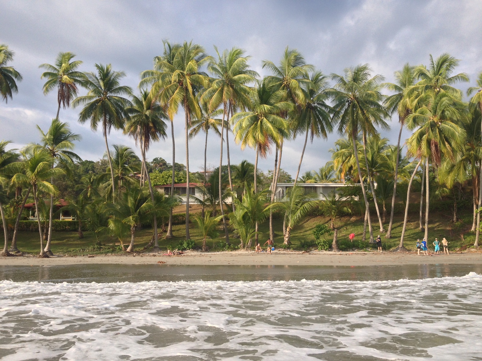 รูปถ่าย คอสตาริกา(Costa Rica) มานวยล์อันโตนีโอ(Manuel Antonio) 2015-03 9