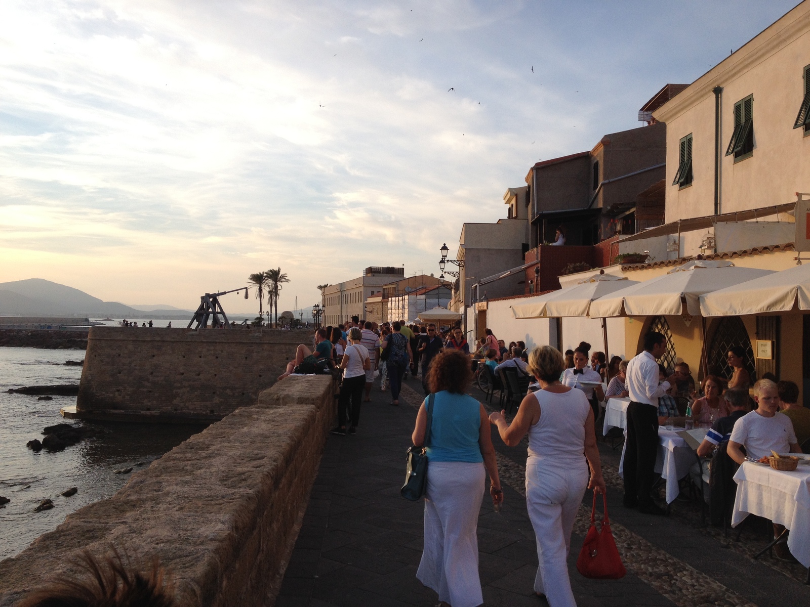 รูปถ่าย อิตาลี(Italy) ซาร์ดิเนีย(Sardinia) อัลเกโร(Alghero) 2015-06 142