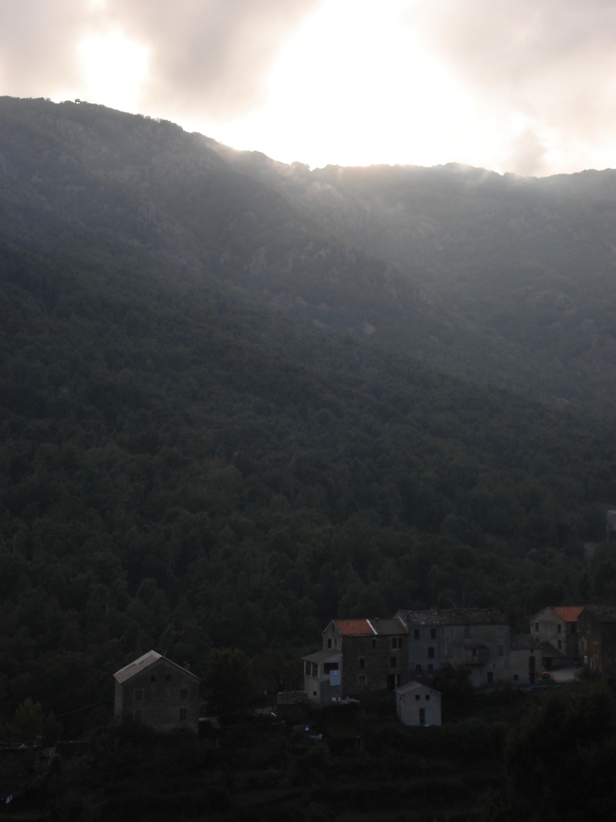 รูปถ่าย ฝรั่งเศส(France) คอร์สิคา(Corsica) วัลเล-ดาเลซานี(Valle d'alesani) 2006-09 10