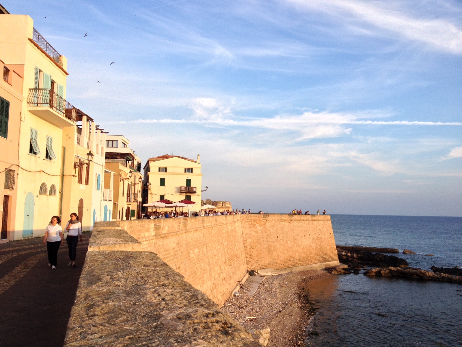 รูปถ่าย อิตาลี(Italy) ซาร์ดิเนีย(Sardinia) อัลเกโร(Alghero) 2015-06 129