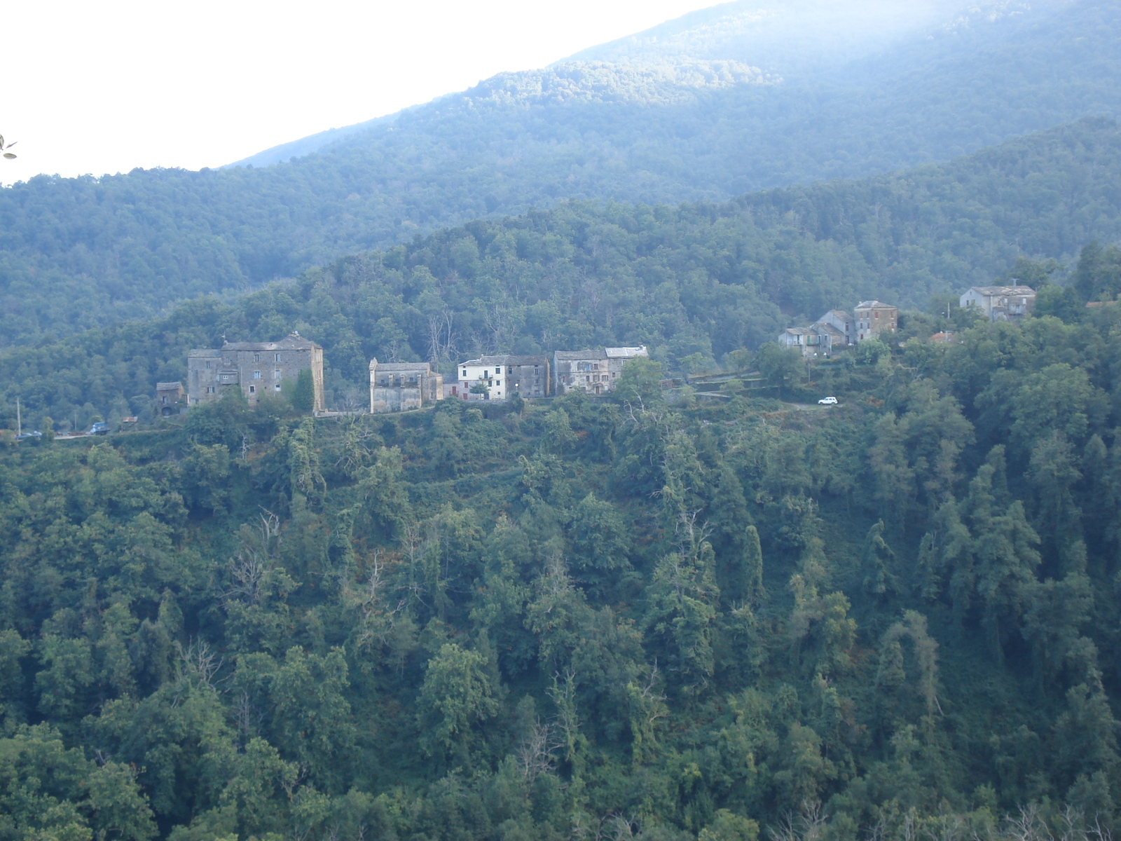 รูปถ่าย ฝรั่งเศส(France) คอร์สิคา(Corsica) วัลเล-ดาเลซานี(Valle d'alesani) 2006-09 43