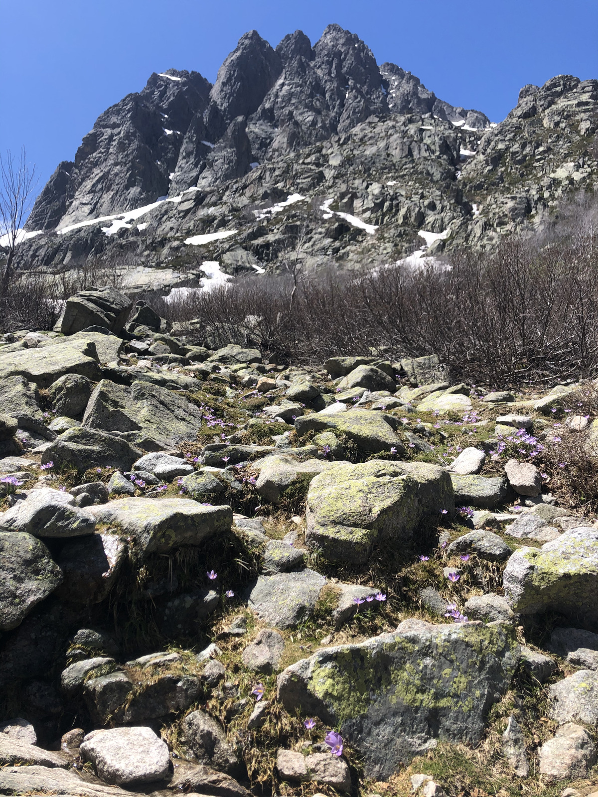 รูปถ่าย ฝรั่งเศส(France) คอร์สิคา(Corsica) ทะเลสาบเมโลและกาปีเตลโล(Lac de Melo et Capitello) 2021-06 68