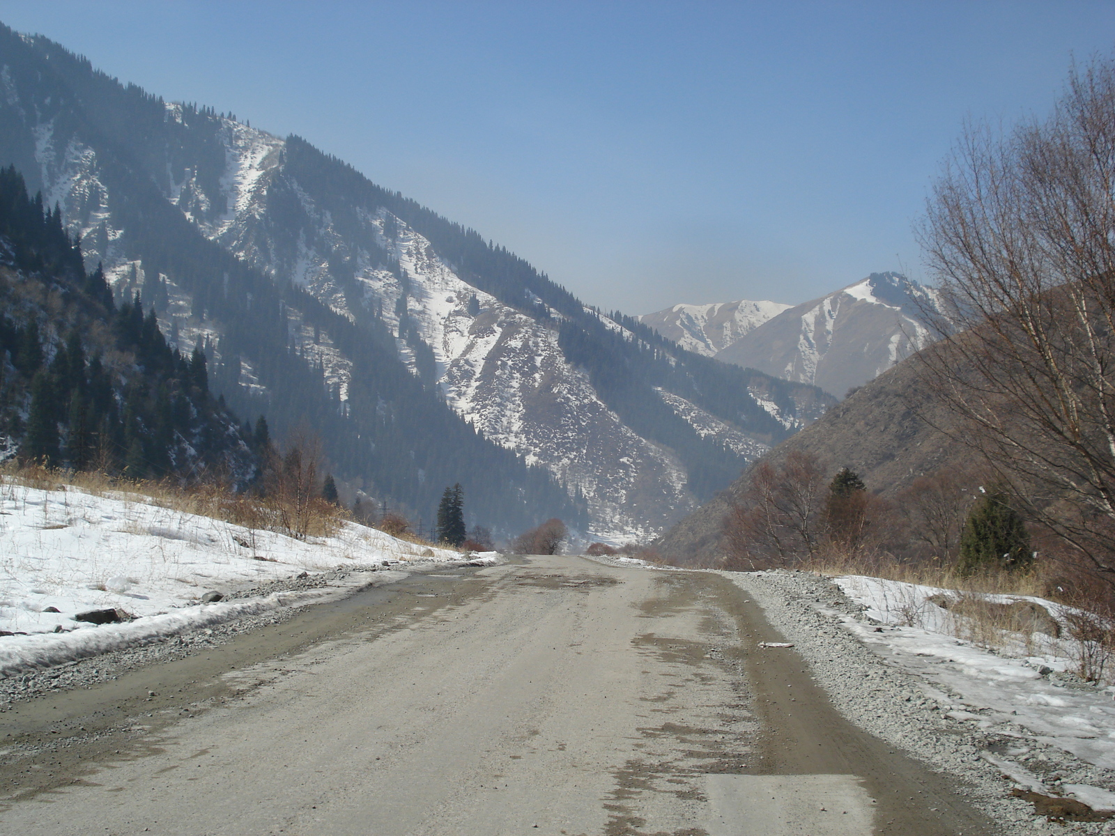 รูปถ่าย คาซัคสถาน(Kazakhstan) อุทยานแห่งชาติอีเลอาลาเตา(Ile Alatau National Park) 2007-03 106