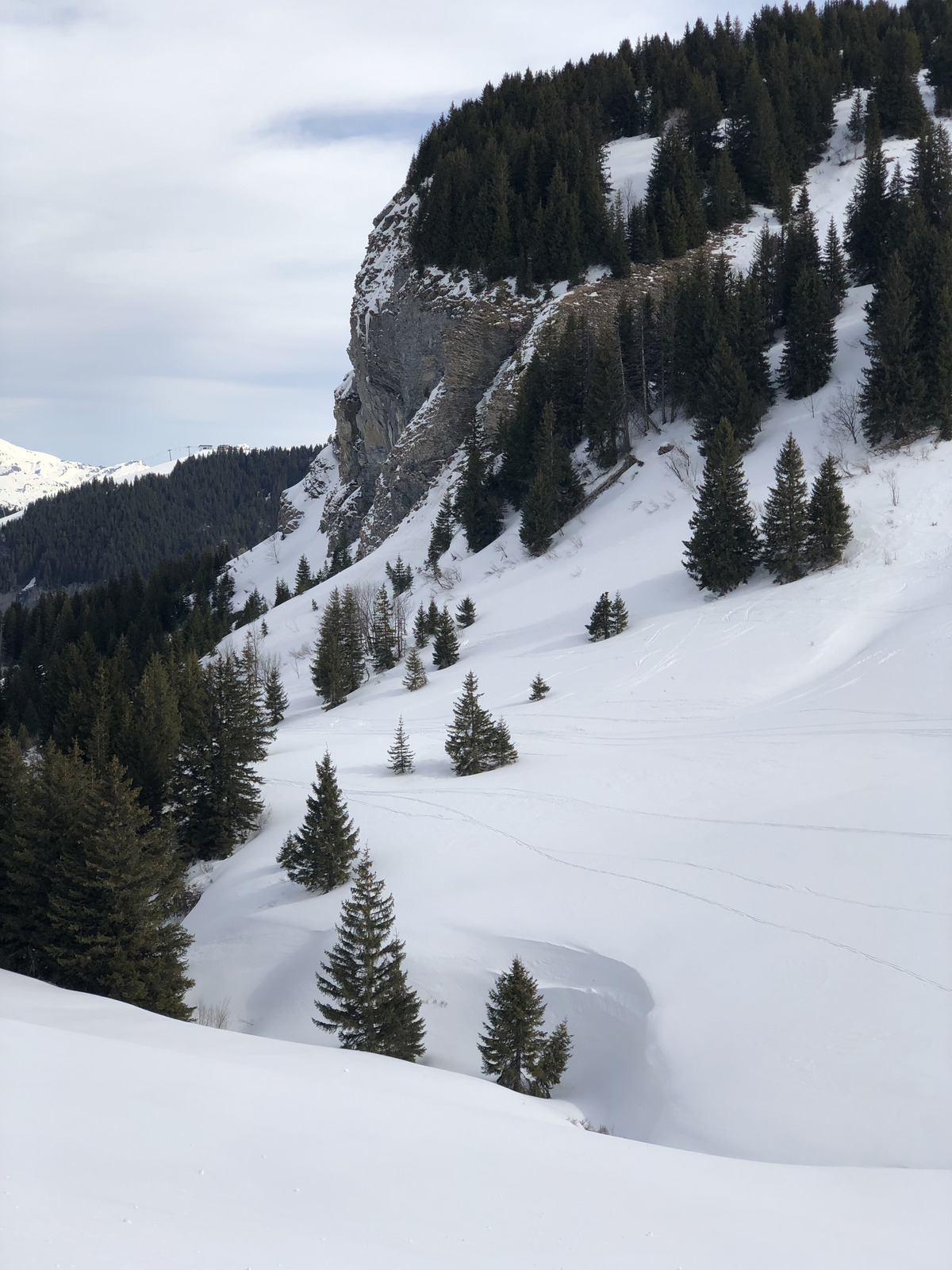 รูปถ่าย ฝรั่งเศส(France) เมแฌฟว์(Megeve) 2019-03 54