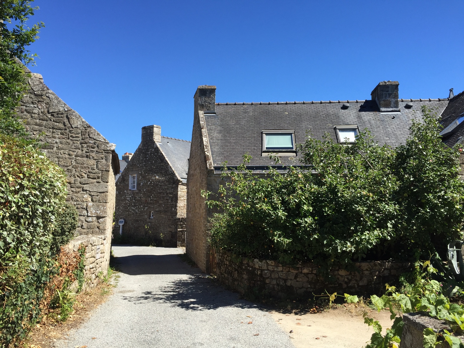 รูปถ่าย ฝรั่งเศส(France) การ์นัก(Carnac) 2016-08 23