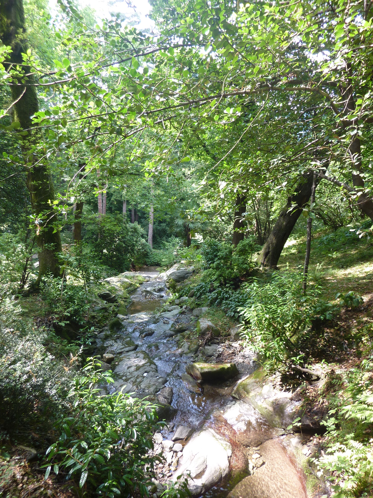 รูปถ่าย อิตาลี(Italy) วิลลาปัลลาวีชีโน(Villa Pallavicino) 2009-06 37