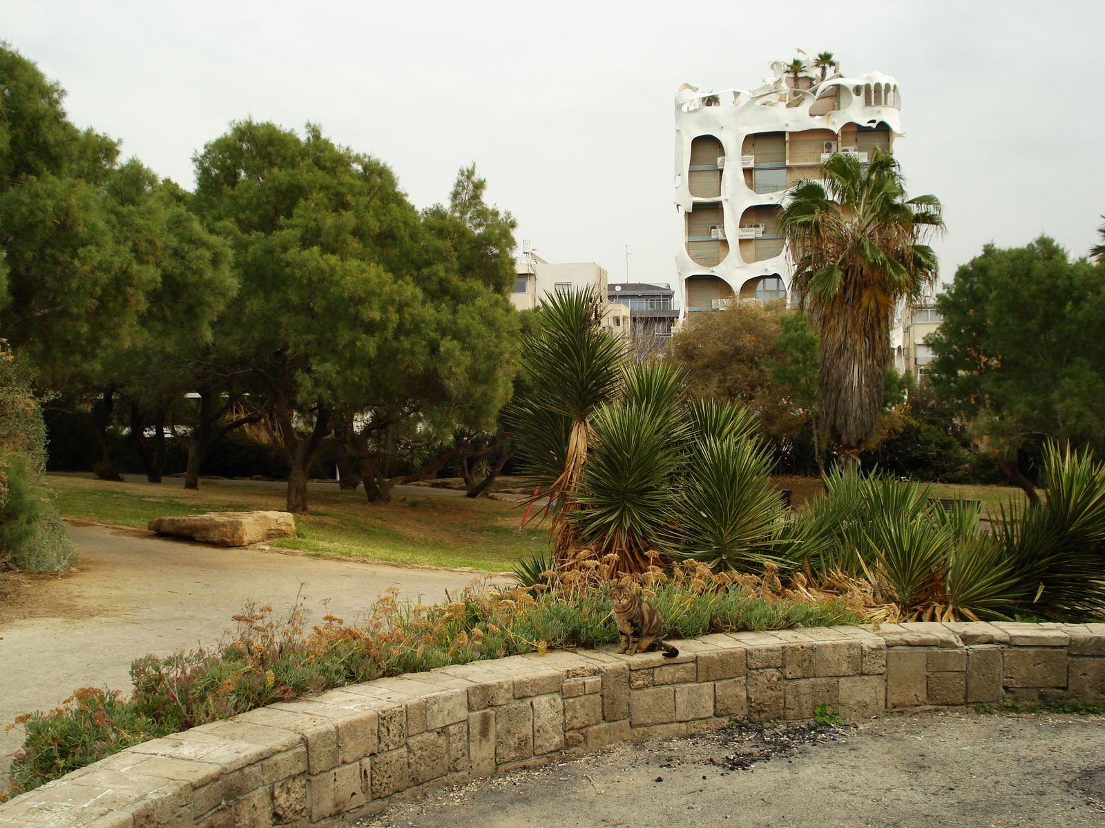 รูปถ่าย อิสราเอล(Israel) เทลอาวีฟ(Tel Aviv) ชายหาดเทลอาวีฟ(Tel Aviv Sea Shore) 2006-12 24