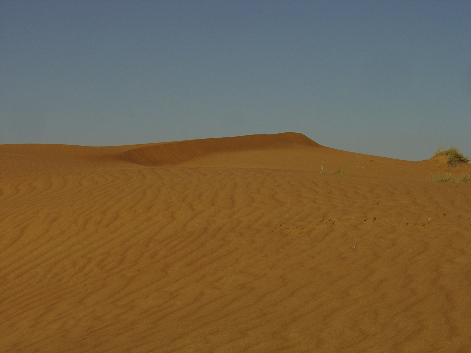 รูปถ่าย สหรัฐอาหรับเอมิเรตส์(United Arab Emirates) จากดูไบไปถนนอัลอิน(Dubai to Al Ain road) 2005-03 71