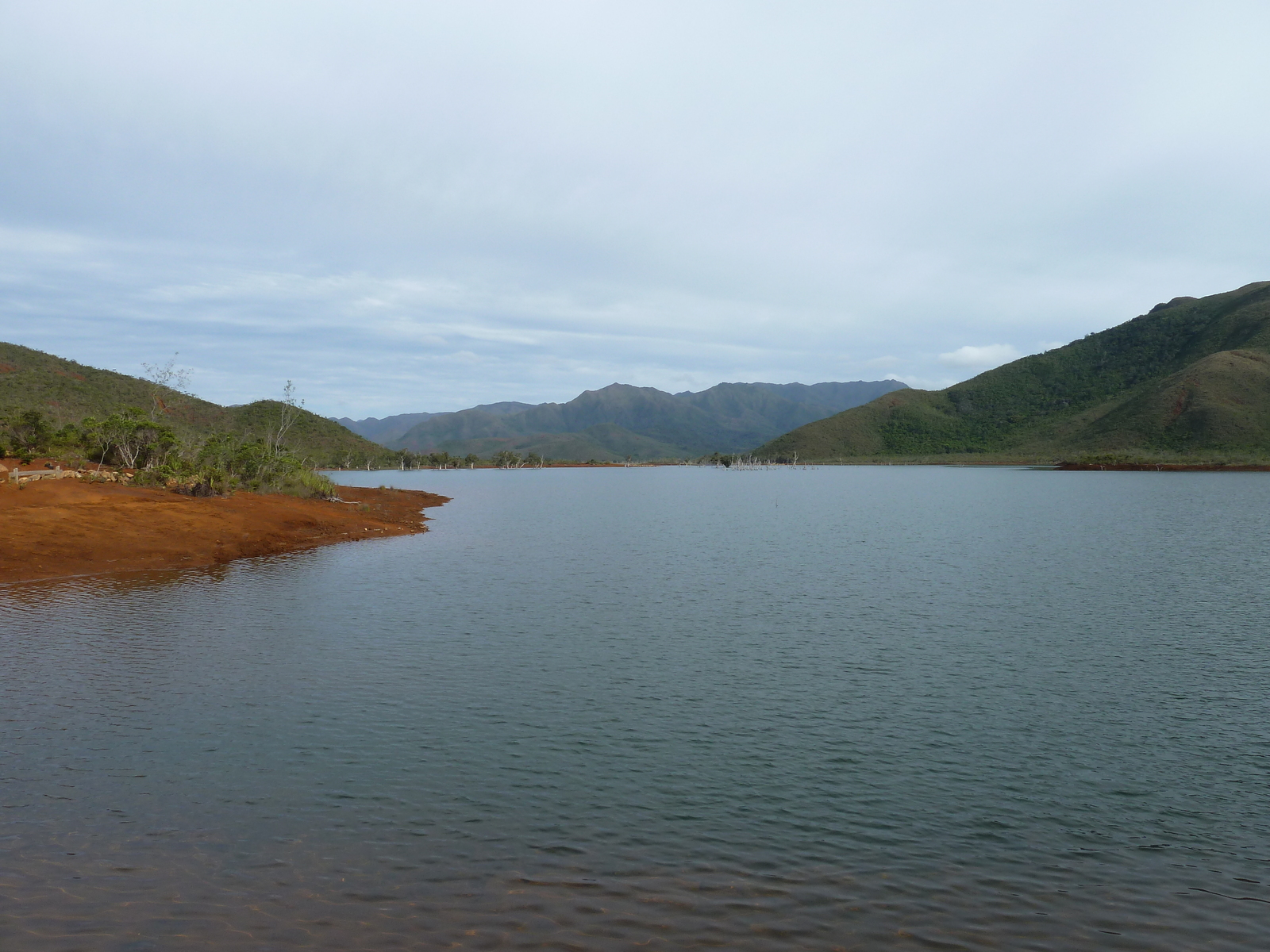 รูปถ่าย นิวแคลิโดเนีย(New Caledonia) อุทยานริเวียร์เบลอ(Parc de la Riviere Bleue) 2010-05 76