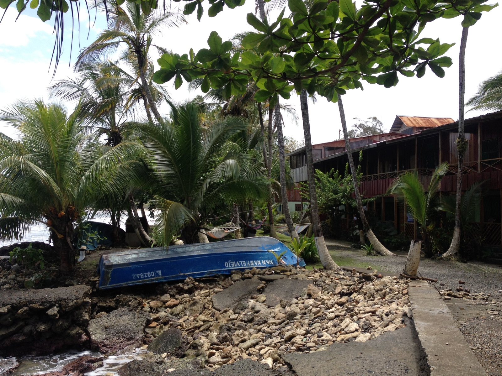 รูปถ่าย คอสตาริกา(Costa Rica) กาอุยตา(Cahuita) 2015-03 115