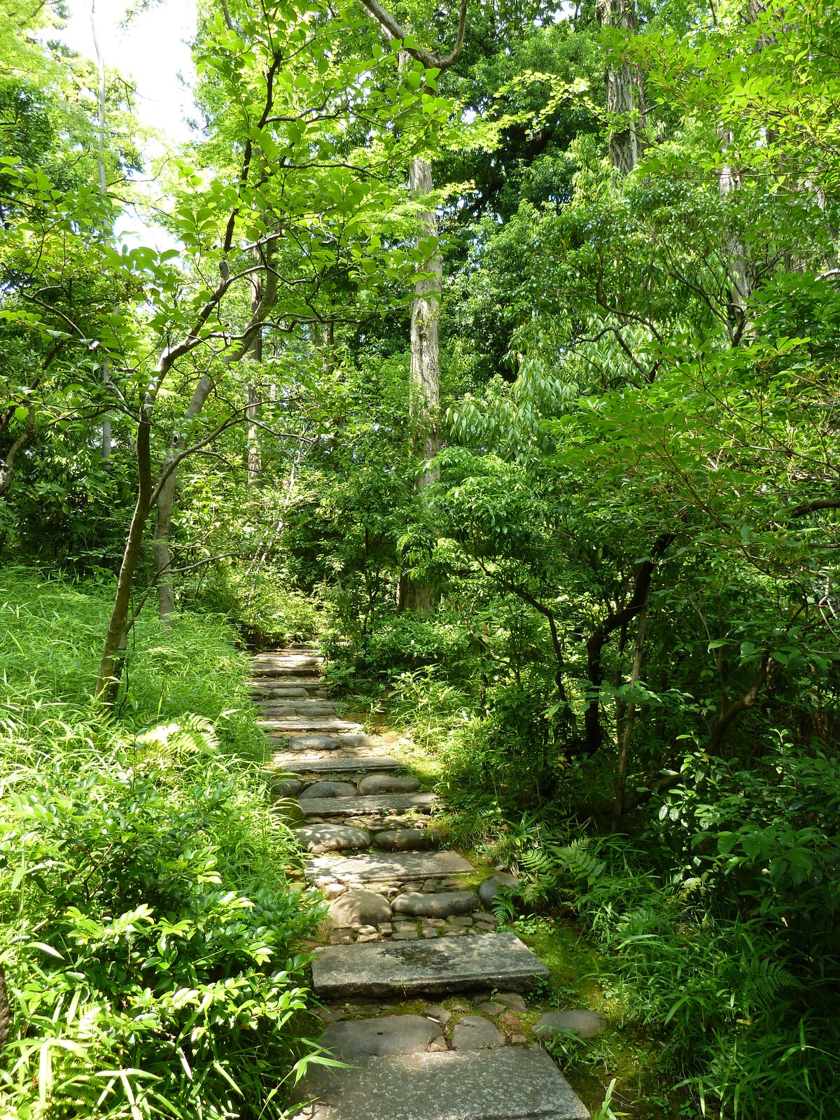 รูปถ่าย ญี่ปุ่น(Japan) โตเกียว(Tokyo) พิพิธภัณฑ์เนซุ(Nezu Museum) 2010-06 98