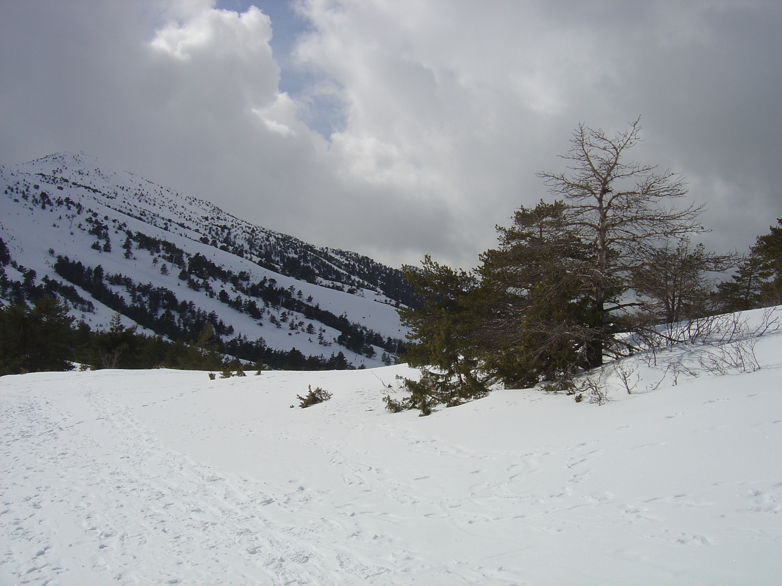 รูปถ่าย ฝรั่งเศส(France) เกรโอลีแยร์(Greolieres) 2006-02 20