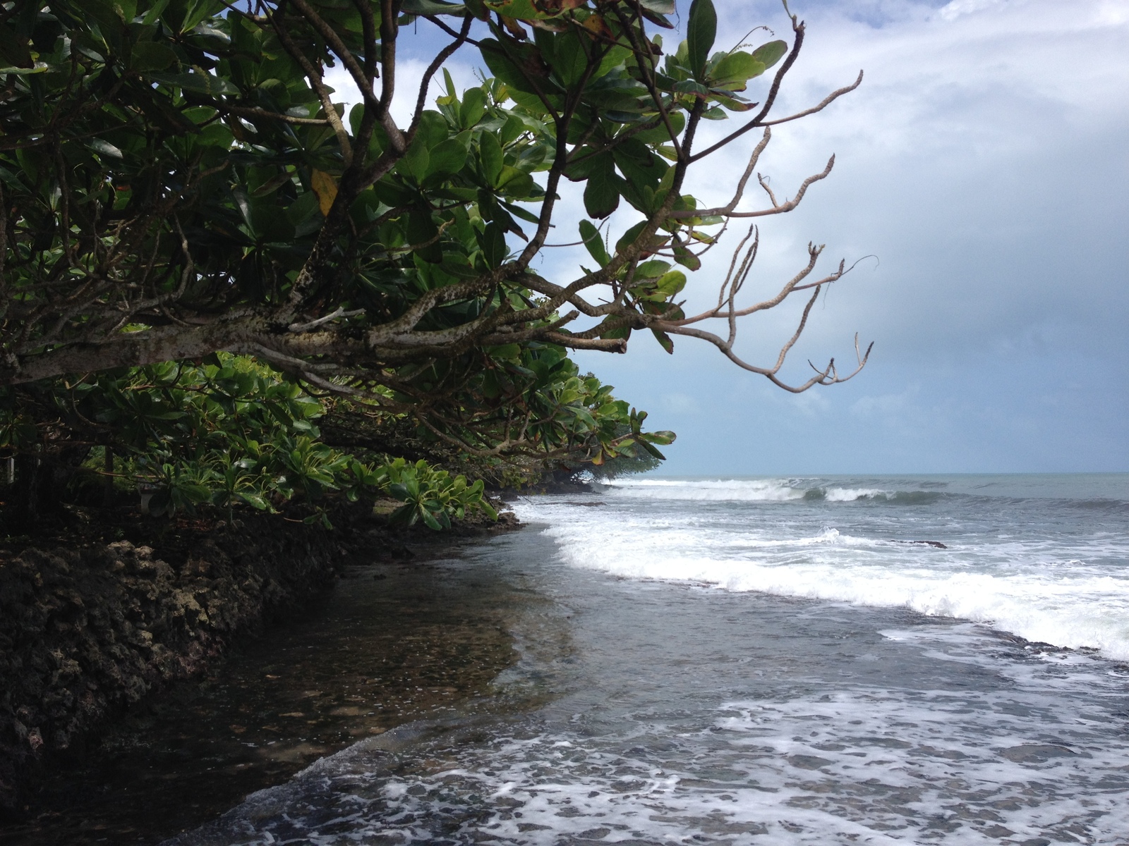 รูปถ่าย คอสตาริกา(Costa Rica) กาอุยตา(Cahuita) 2015-03 98