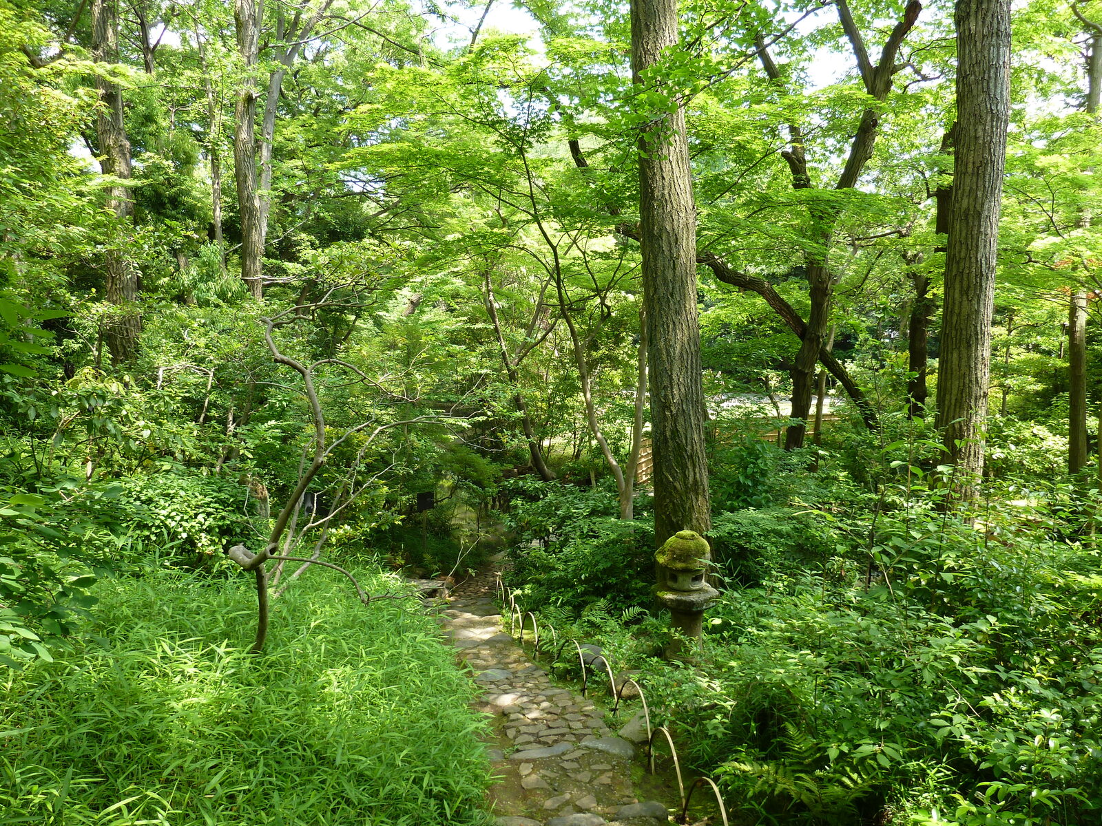 รูปถ่าย ญี่ปุ่น(Japan) โตเกียว(Tokyo) พิพิธภัณฑ์เนซุ(Nezu Museum) 2010-06 95