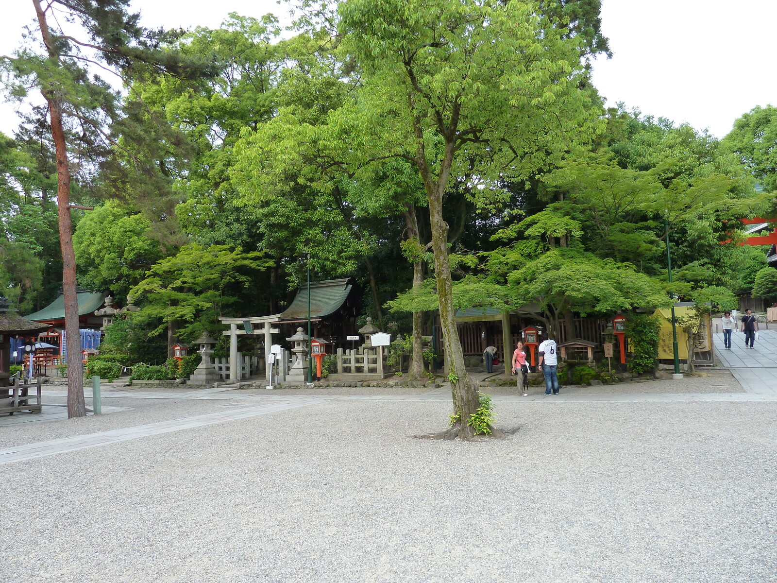 รูปถ่าย ญี่ปุ่น(Japan) เกียวโต(Kyoto) ศาลเจ้ายาซากะ(Yasaka Shrine) 2010-06 20