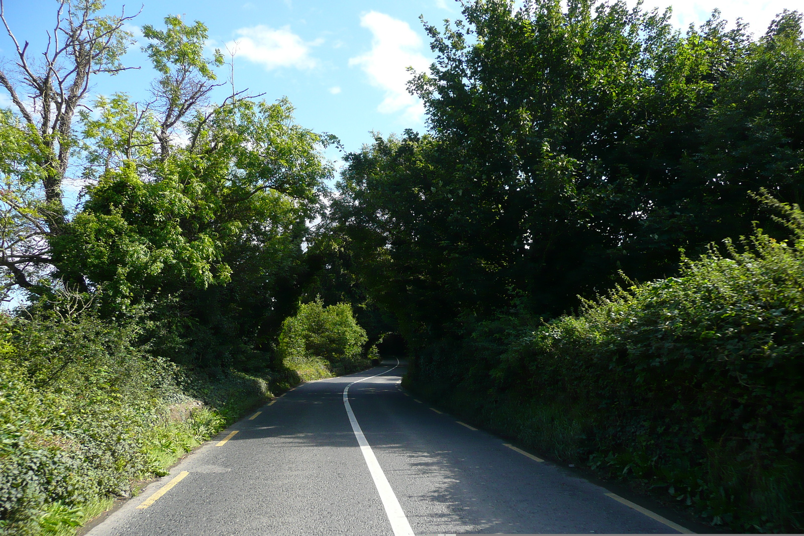 รูปถ่าย ไอร์แลนด์(Ireland) ดับลิน(Dublin) ถนนเลียบแม่น้ำ(River road) 2008-09 22