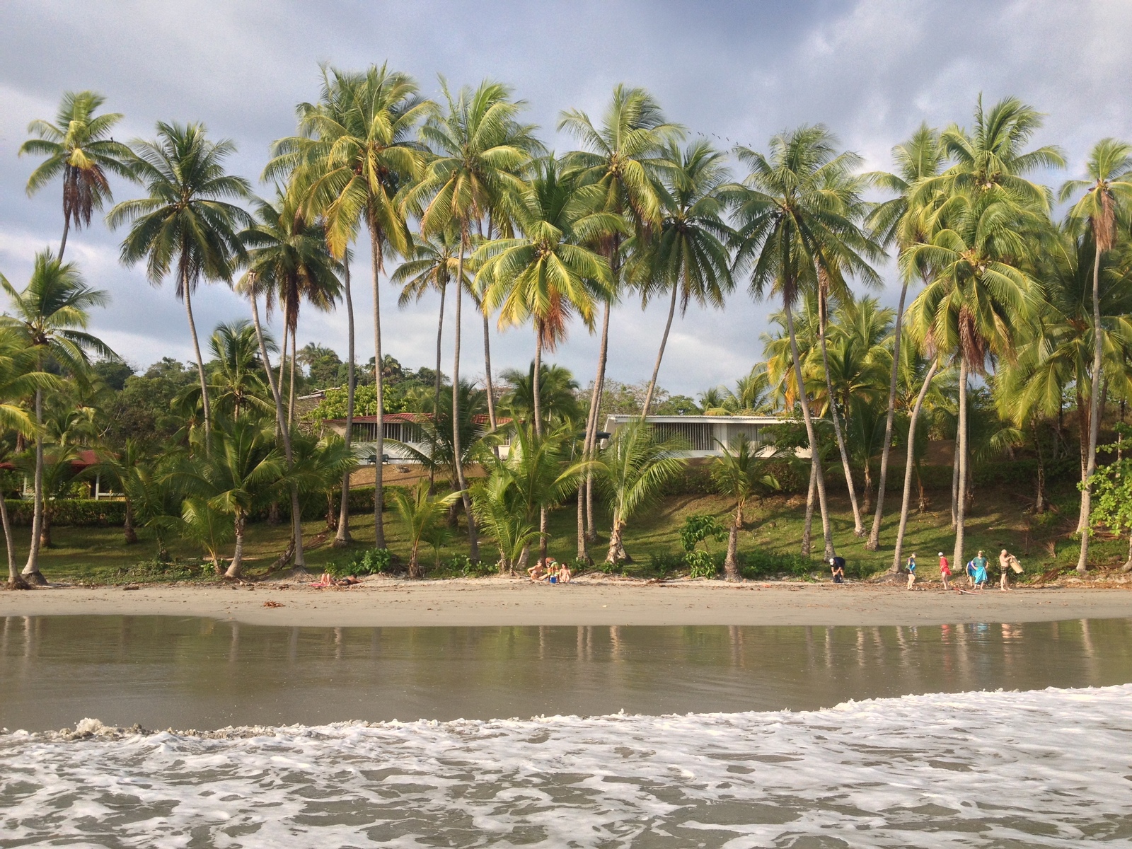 รูปถ่าย คอสตาริกา(Costa Rica) มานวยล์อันโตนีโอ(Manuel Antonio) 2015-03 343
