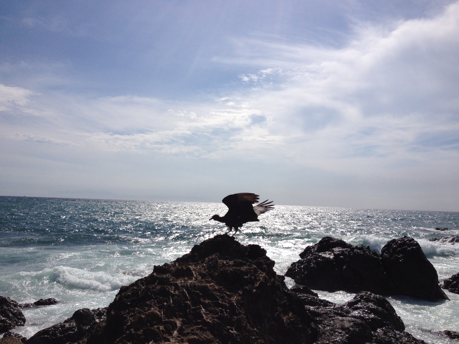 รูปถ่าย คอสตาริกา(Costa Rica) มอนเตซูมา(Montezuma) 2015-03 583