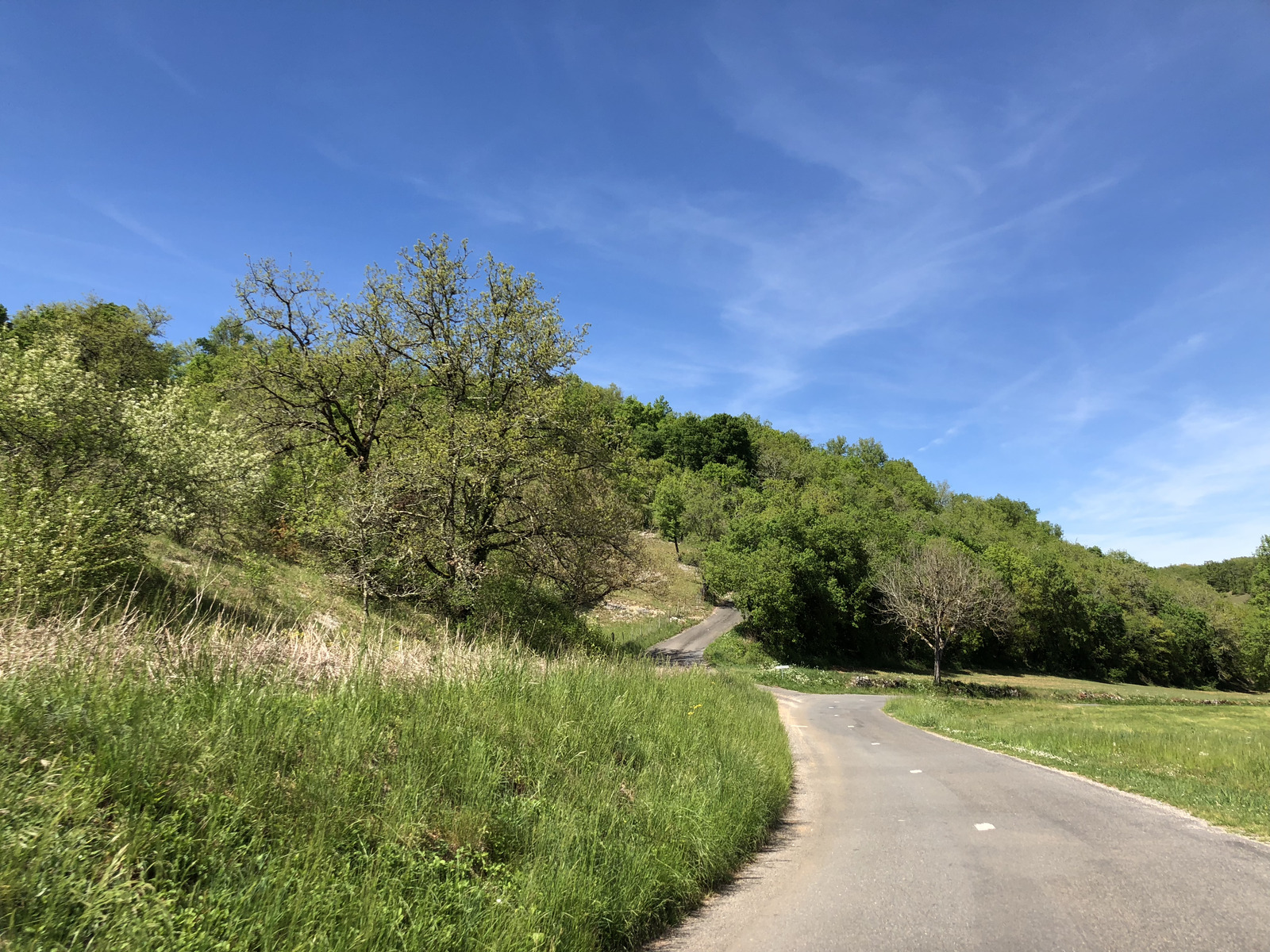 รูปถ่าย ฝรั่งเศส(France) ฟลัวรัก(Floirac) 2018-04 137