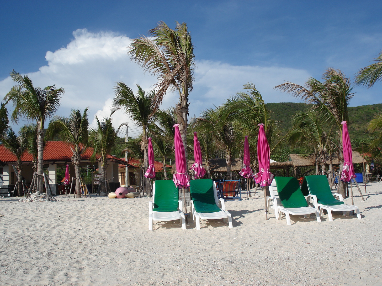 รูปถ่าย ไทย(Thailand) พัทยา(Pattaya) เกาะล้าน(Ko Larn) 2006-04 50