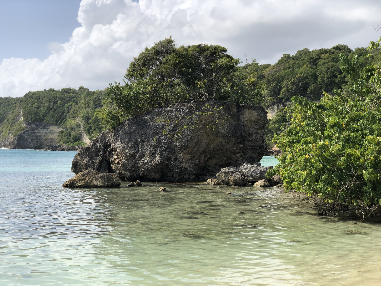 รูปถ่าย กวาเดอลูป(Guadeloupe) หาดปตีอาฟวร์(Petit Havre Beach) 2021-02 21