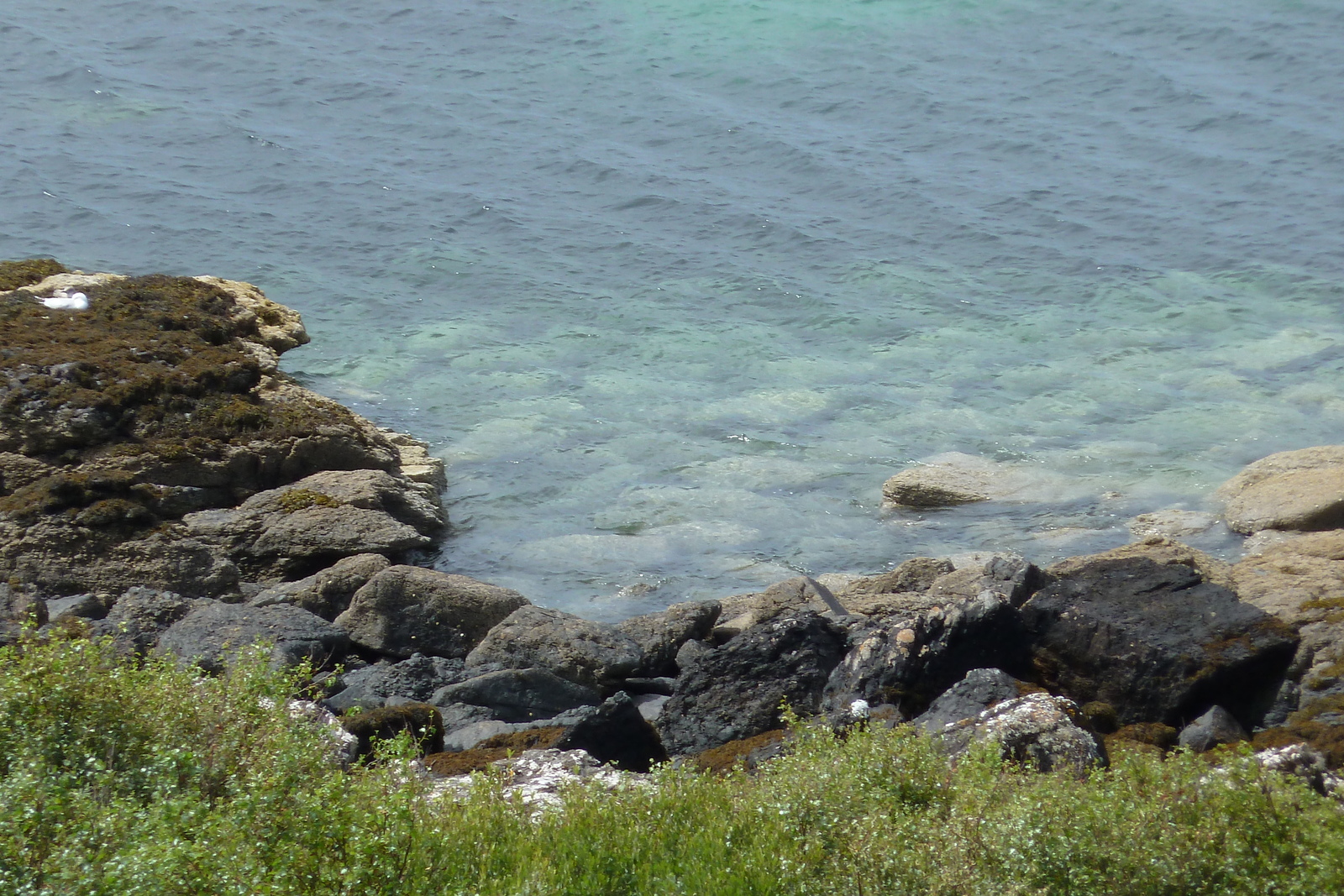 รูปถ่าย อังกฤษ(United Kingdom) สกอตแลนด์(Scotland) แกร์ลอค(Gairloch) 2011-07 59