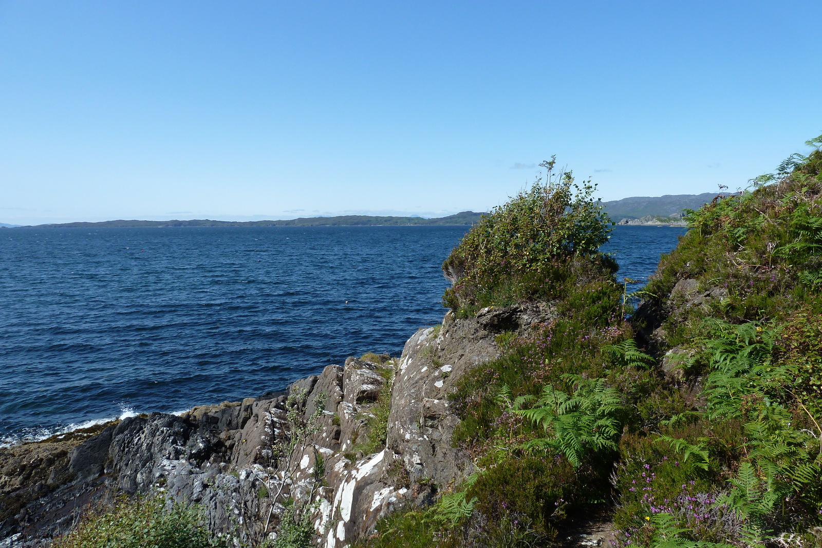 รูปถ่าย อังกฤษ(United Kingdom) สกอตแลนด์(Scotland) เซเลน(Salen) 2011-07 14