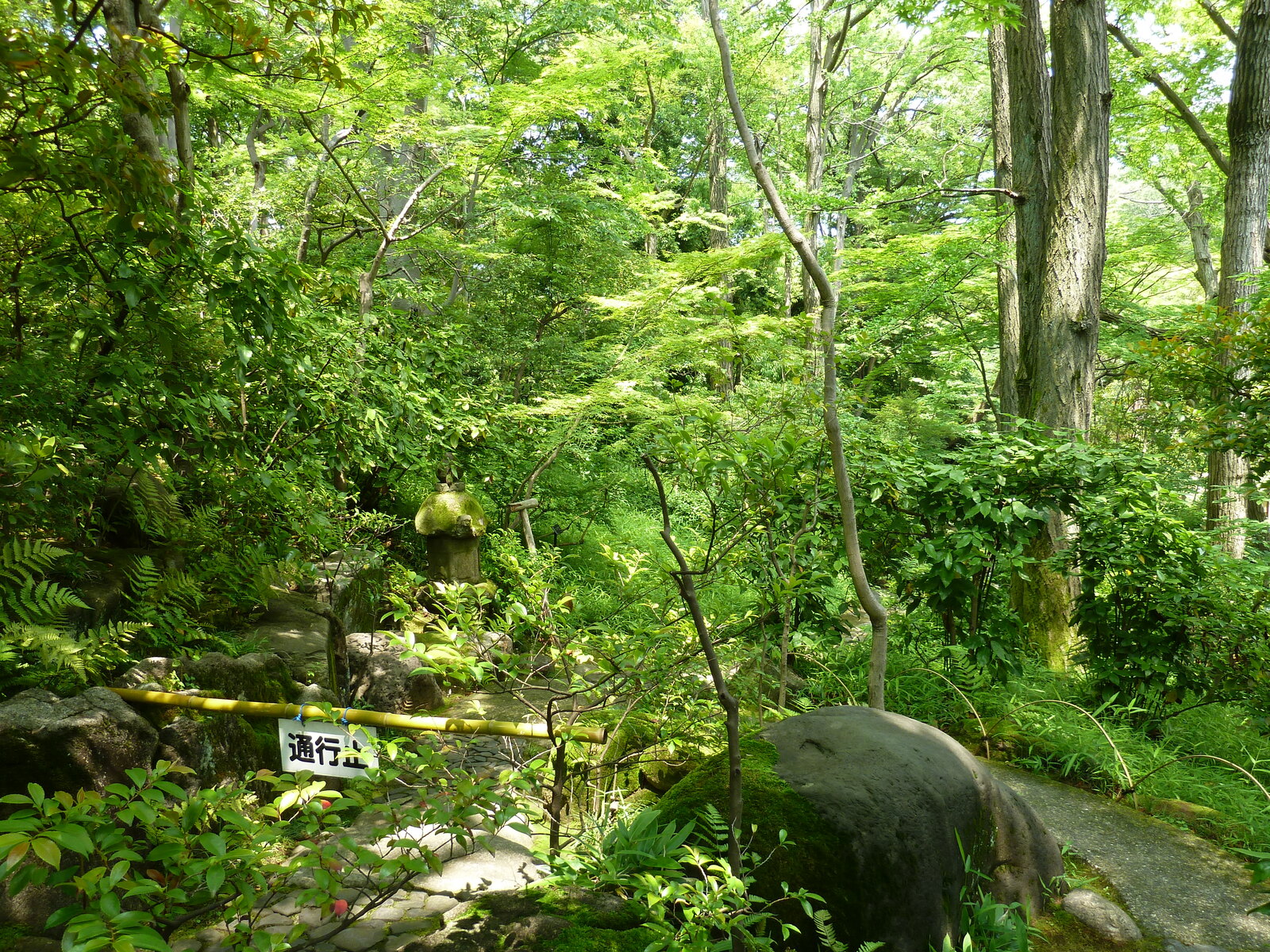 รูปถ่าย ญี่ปุ่น(Japan) โตเกียว(Tokyo) พิพิธภัณฑ์เนซุ(Nezu Museum) 2010-06 79