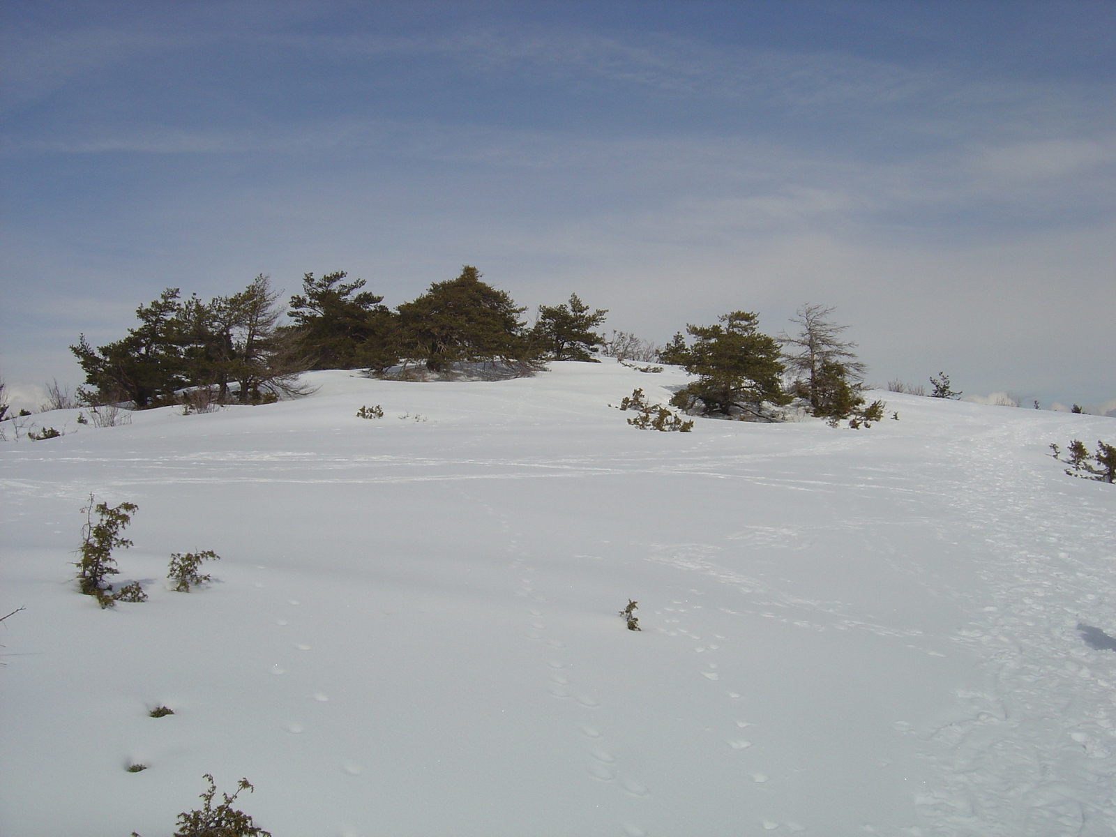 รูปถ่าย ฝรั่งเศส(France) เกรโอลีแยร์(Greolieres) 2006-02 26