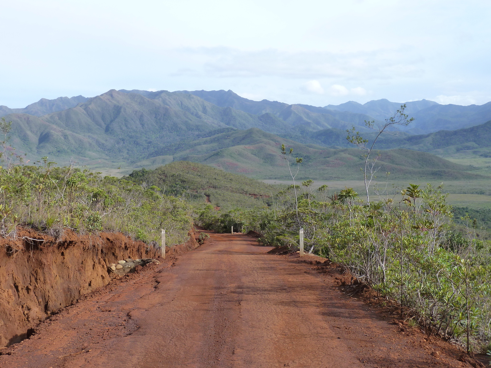 รูปถ่าย นิวแคลิโดเนีย(New Caledonia) อุทยานริเวียร์เบลอ(Parc de la Riviere Bleue) 2010-05 25