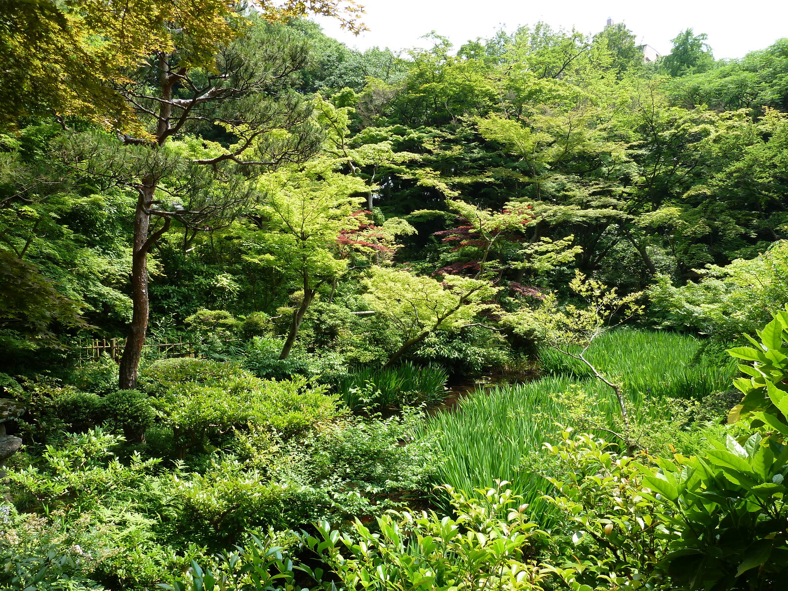 รูปถ่าย ญี่ปุ่น(Japan) 2010-06 30